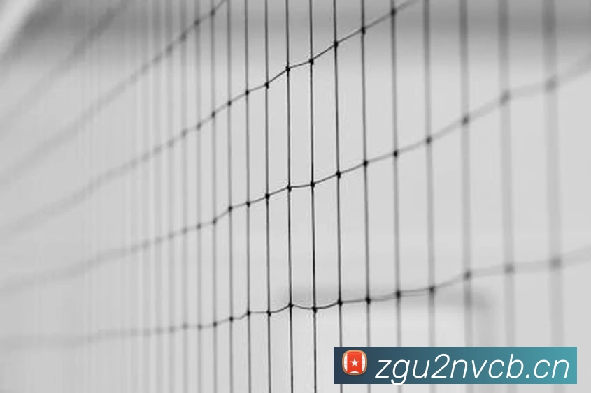 九游体育app官方首页服务体系